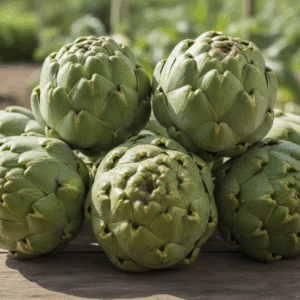 Artichoke- Green Globe Improved