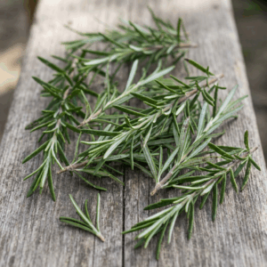 Herbs- Rosemary
